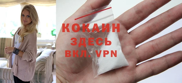ГАЛЛЮЦИНОГЕННЫЕ ГРИБЫ Богданович