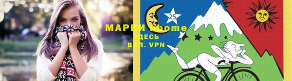 ГАЛЛЮЦИНОГЕННЫЕ ГРИБЫ Богданович