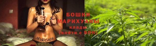 ГАЛЛЮЦИНОГЕННЫЕ ГРИБЫ Богданович
