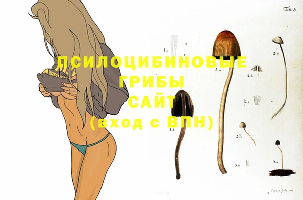 таблы Богородск