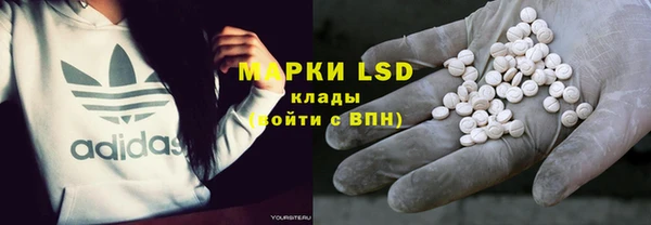 ГАЛЛЮЦИНОГЕННЫЕ ГРИБЫ Богданович