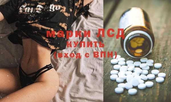 ГАЛЛЮЦИНОГЕННЫЕ ГРИБЫ Богданович