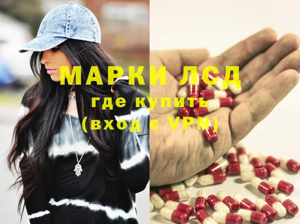 ГАЛЛЮЦИНОГЕННЫЕ ГРИБЫ Богданович