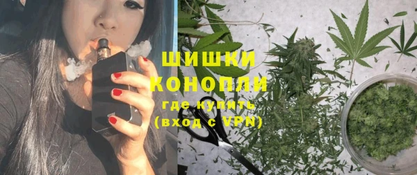 ГАЛЛЮЦИНОГЕННЫЕ ГРИБЫ Богданович