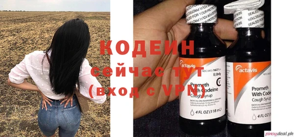 ГАЛЛЮЦИНОГЕННЫЕ ГРИБЫ Богданович