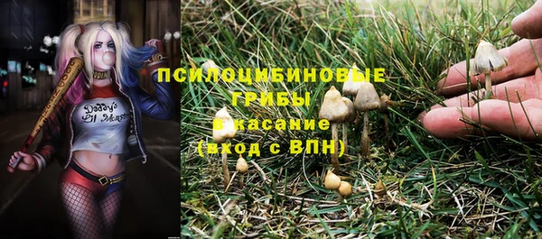 таблы Богородск