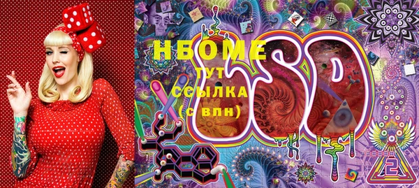 ГАЛЛЮЦИНОГЕННЫЕ ГРИБЫ Богданович